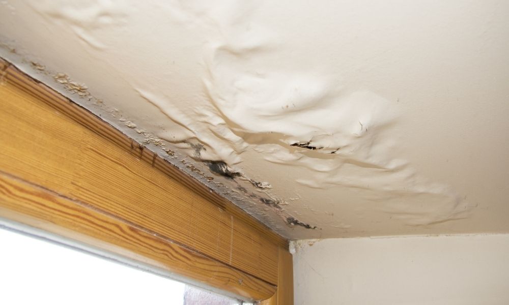 How Fast Can Water Damage Ruin Your Home