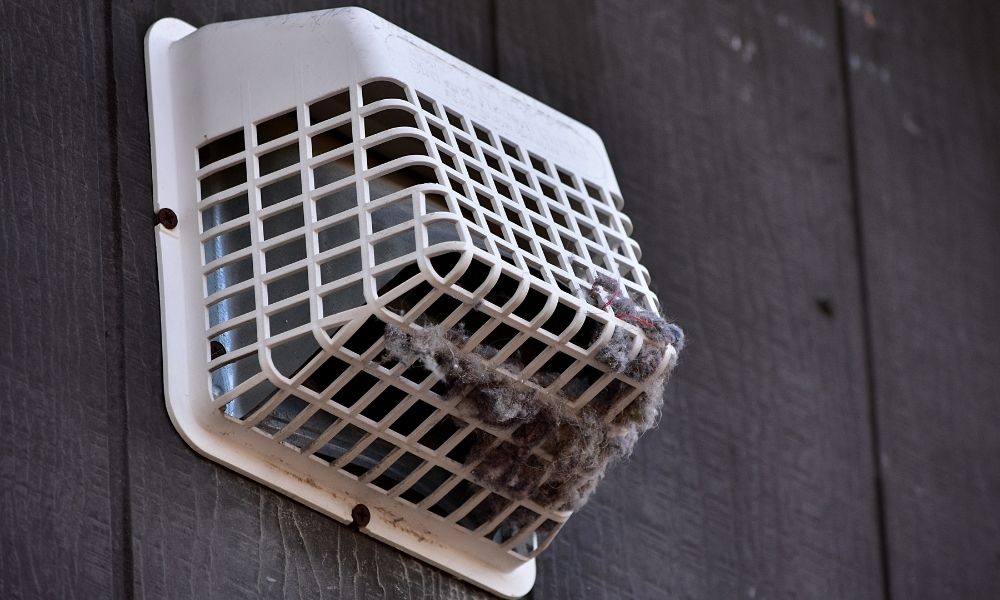 How To Remove and Prevent Birds From Getting in Dryer Vents