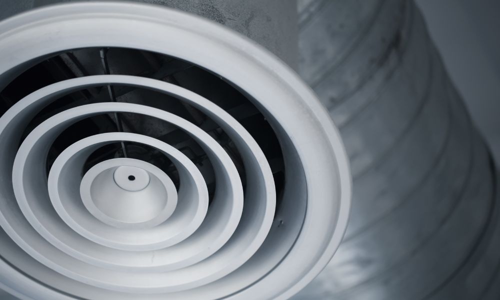 Tips for Keeping Critters Out of Your Air Ducts