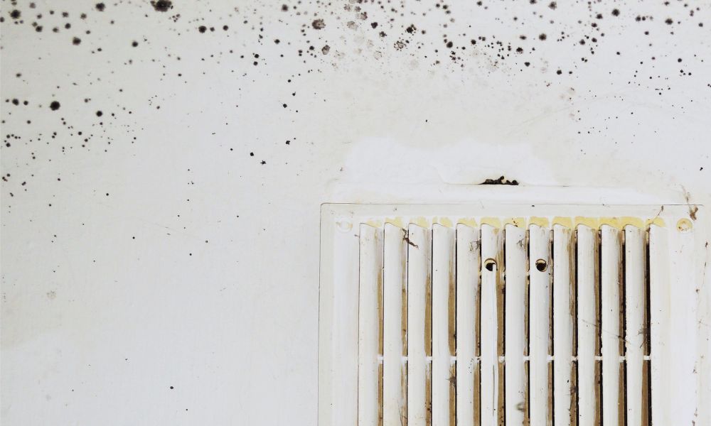 Ways To Prevent Mold Problems in Your Air Ducts